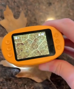 The LittleQuest  screen displaying a  leaf veins.